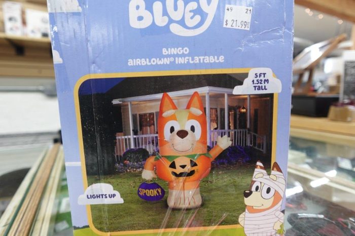 5' Bluey Bingo Halloween Yard Inflatable - Image 4