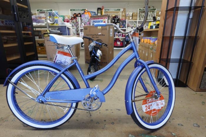 24" Huffy Women's Beach Cruiser Bike in Periwinkle - Image 2