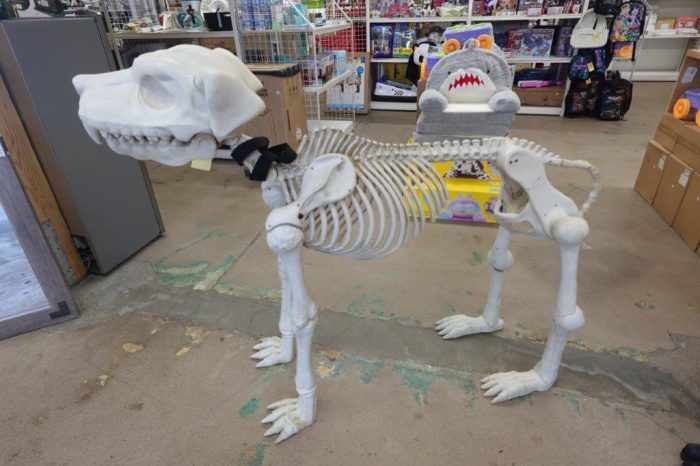 46" White Halloween Skeleton Dog Decoration - Image 2