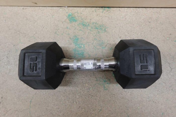 15 lb Single Rubber Hex Gym Dumbbell - Image 3