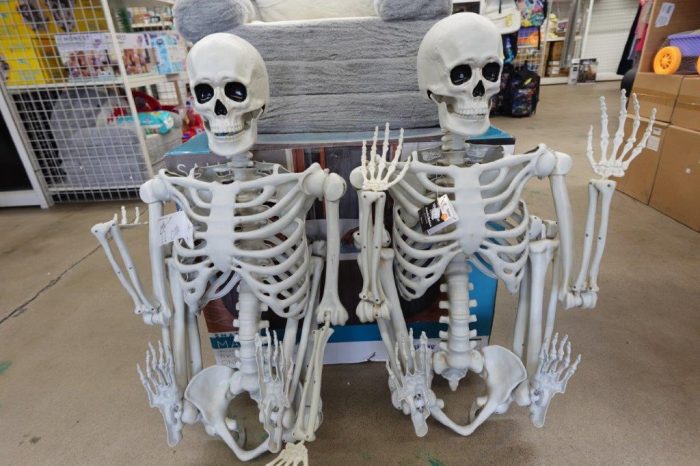 5ft Poseable Halloween Skeleton Decoration - Image 2