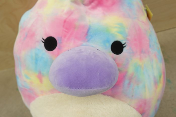 24" Brindall the Tie-dye Platypus Squishmallow Jumbo Plush - Image 4