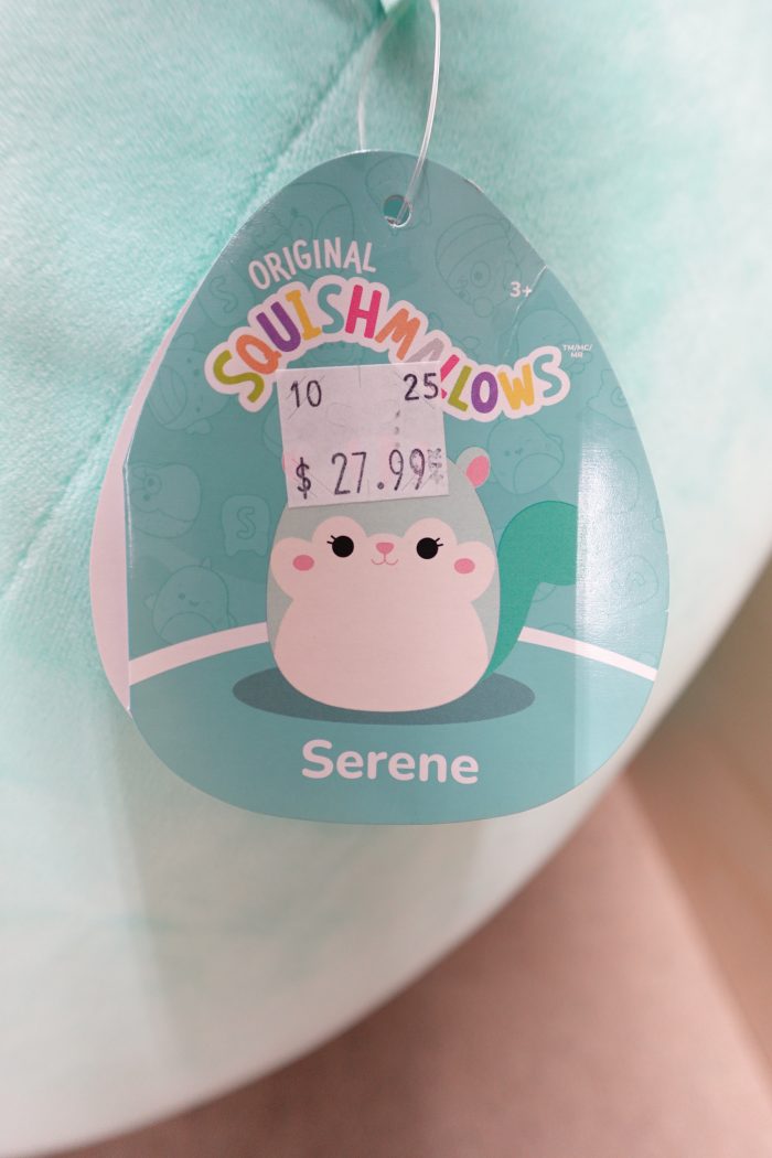 24" Serene the Squirrel Squishmallow Jumbo Plush - Image 7