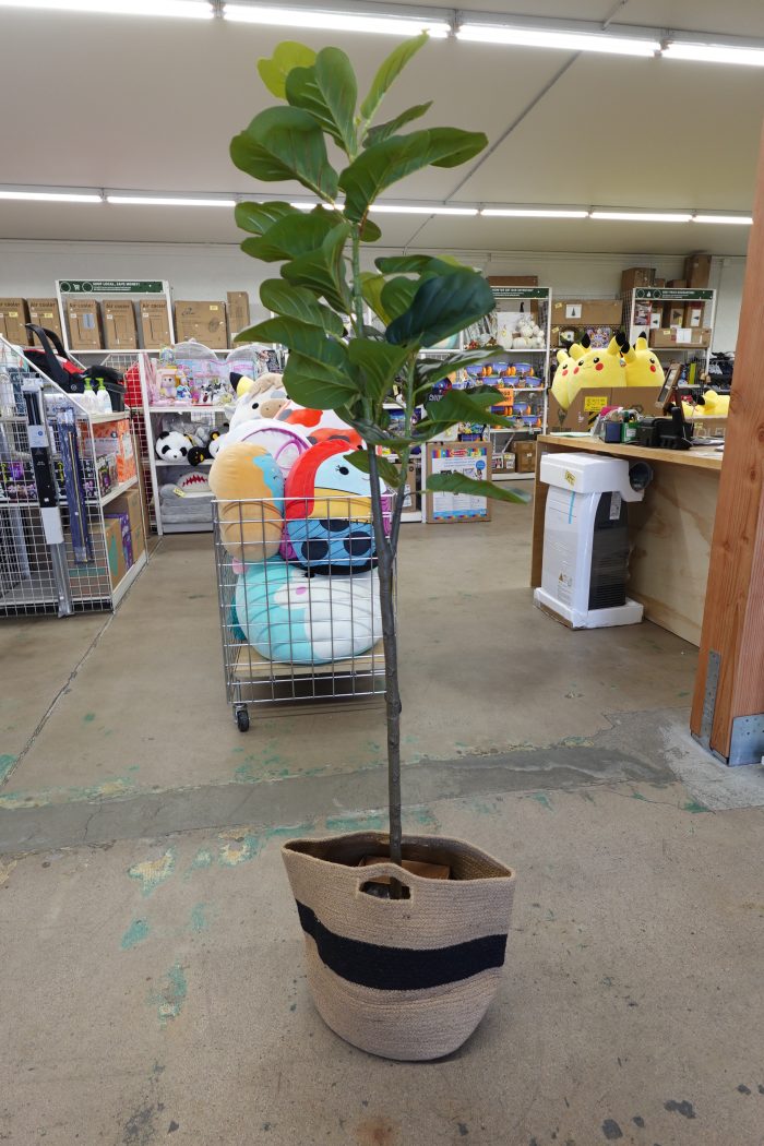 5.5' Nearly Natural Artificial Fiddle Leaf Fig Tree - Image 2