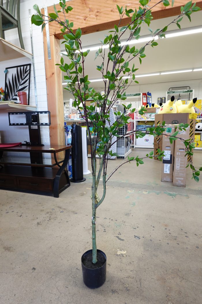 5ft Nearly Natural Artificial Indoor Citrus Tree for Home Decor - Image 2