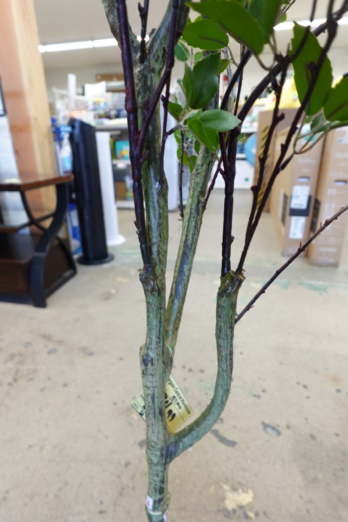 5ft Nearly Natural Artificial Indoor Citrus Tree for Home Decor - Image 5