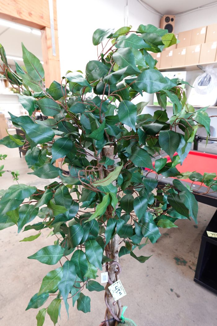 5.5ft Nearly Natural Artificial Ficus Tree with Bamboo Planter - Image 4