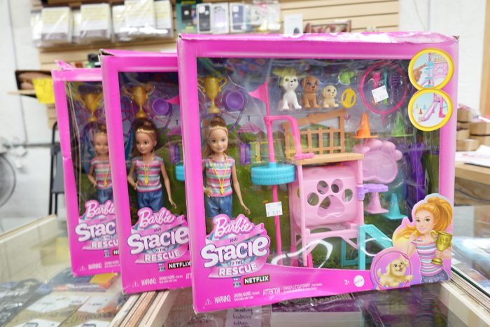 Barbie And Stacie to The Rescue Puppy Playground Toy Playset with Doll - Image 2
