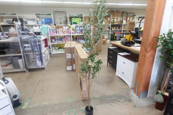 6 ft Artificial Olive Plants with Realistic Leaves and Trunk Natural Decoration - Image 2