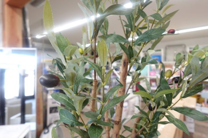 6 ft Artificial Olive Plants with Realistic Leaves and Trunk Natural Decoration - Image 4