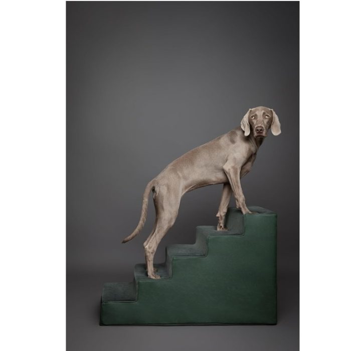 Noah & Paw Leather 5 Step Extra Wide Dog Stairs Dog Ramp for Pets in Green