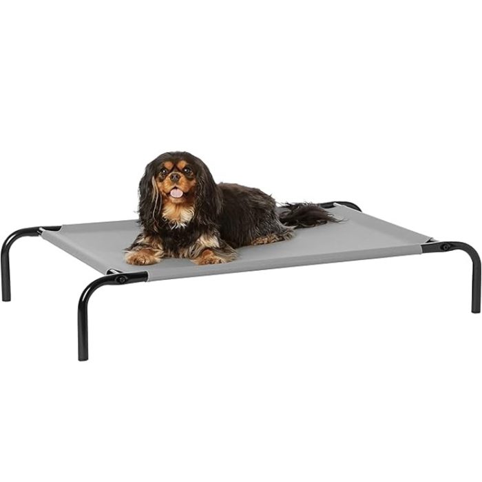 Amazon Basics Elevated Dog Bed for Small Dogs 36 x 22 x 7.5 Inch - Grey