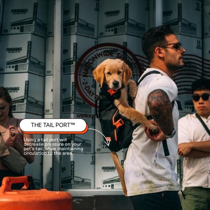 The Maxine One Medium Dog Carrier Backpack by Little Chonk - Image 2