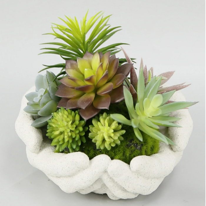 Mainstays 4" Mixed Succulent Arrangement in Ceramic Hands Pot - White