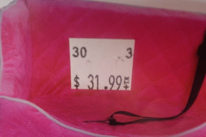Dog Car Seat for Small Medium Dogs Detachable Washable Dogs Booster Seat - Pink - Image 8