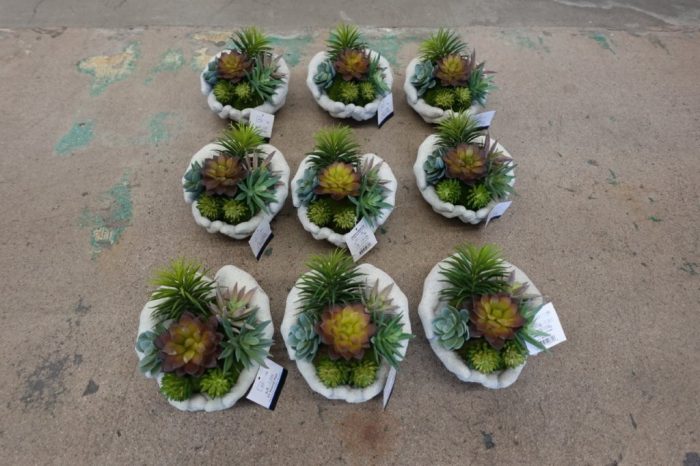 Mainstays 4" Mixed Succulent Arrangement in Ceramic Hands Pot - White - Image 6