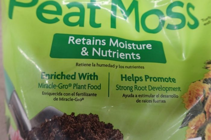 Miracle-Gro 8 qt. Sphagnum Peat Moss Enriched with Plant Food - Image 7