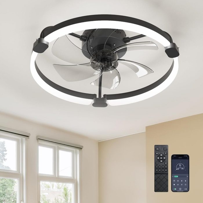 Ensenior 20'' Low Profile Ceiling Fan with Lights and Remote in Black