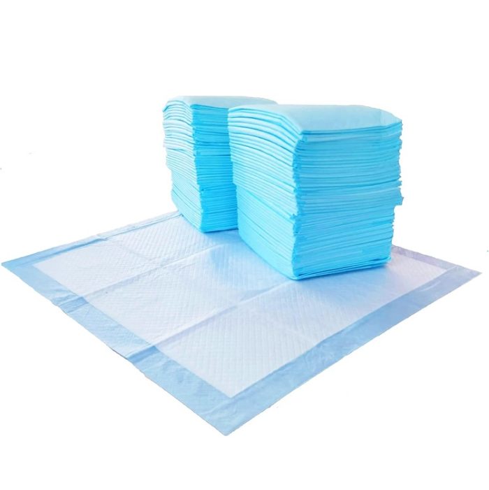 Amazon Basics 150 Count 5-Layered Scented Dog and Puppy Pee Pads Regular (22x22") - Blue