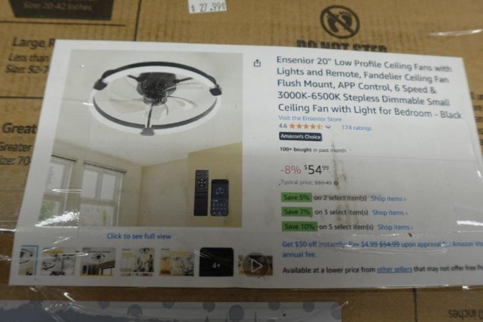 Ensenior 20'' Low Profile Ceiling Fan with Lights and Remote in Black - Image 3