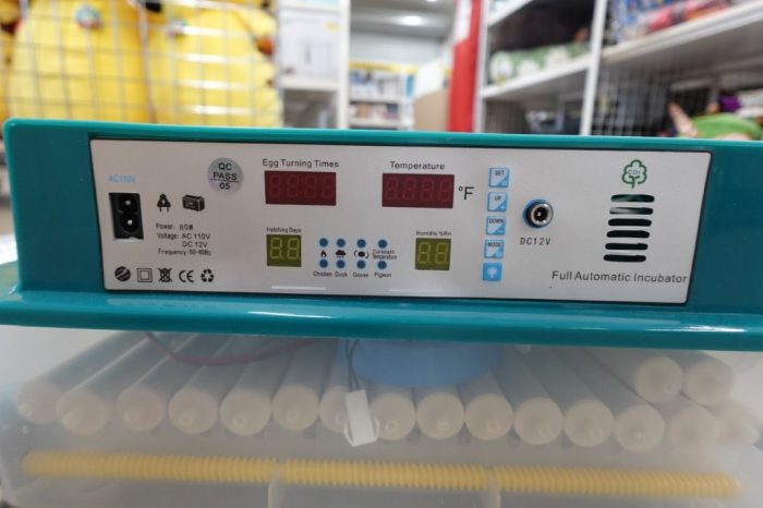 Incubators for Hatching 120 Eggs with Automatic Egg Turning and Humidity Monitor - Image 2