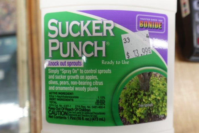 Bonide Sucker Punch – 16 oz Ready-to-Use Tree Growth Regulator - Image 5