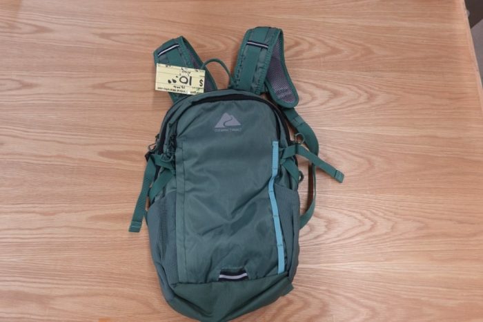 Ozark Trail Juniper 14 L Daypack - Green - Image 2