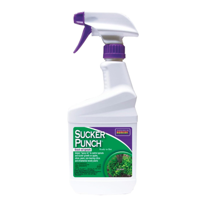 Bonide Sucker Punch – 16 oz Ready-to-Use Tree Growth Regulator
