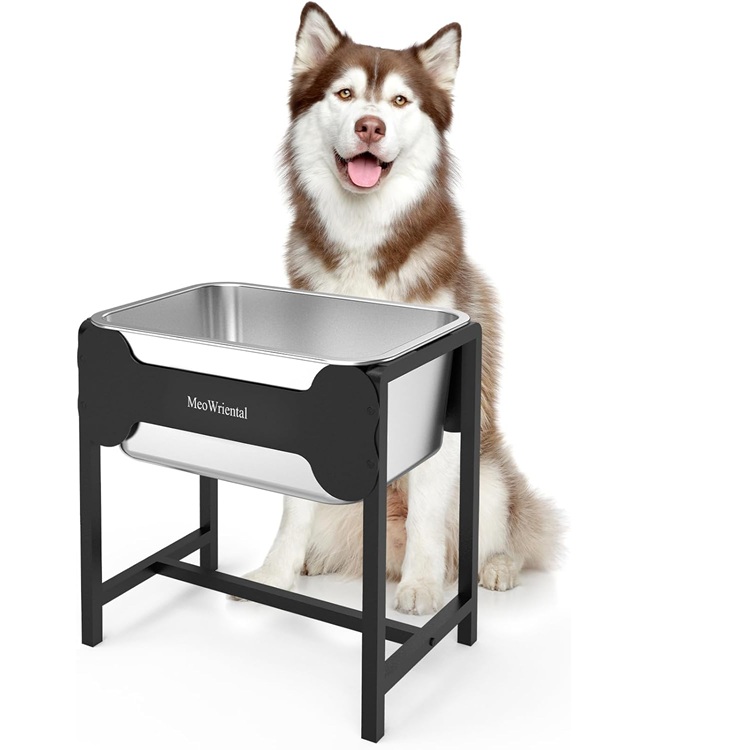 2.5 Gallon Elevated Dog Water Bowl for Large Breeds