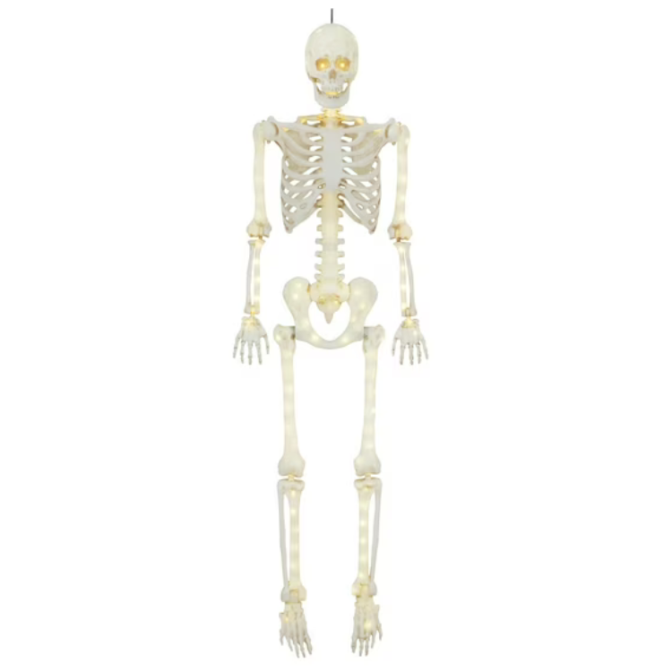 5 ft Faux LED Skeleton Décor