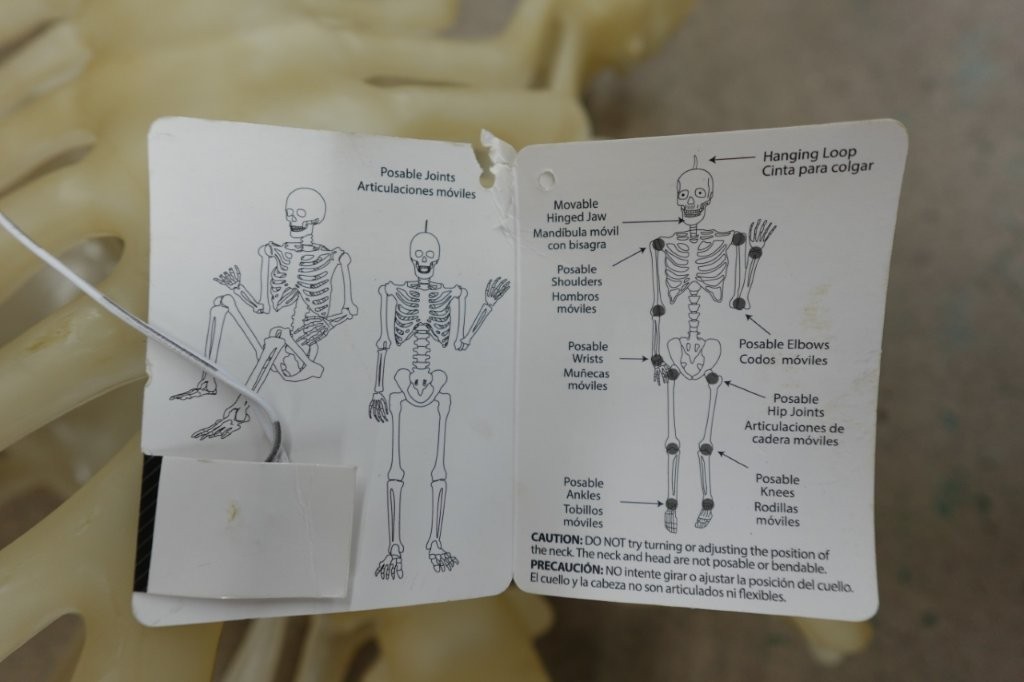 5 ft Faux LED Skeleton Décor - Image 4