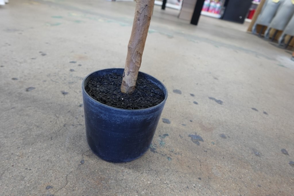 6FT Artificial Olive Tree with Realistic Leaves and Natural Trunk, Potted - Image 3