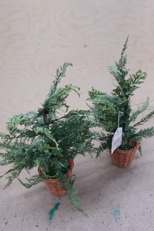 4 ft Pre-Lit Cypress Artificial Potted Christmas Tree w/ 100 Warm White Twinkle LED Lights - Image 3