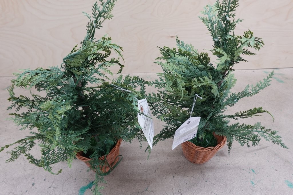 4 ft Pre-Lit Cypress Artificial Potted Christmas Tree w/ 100 Warm White Twinkle LED Lights - Image 2