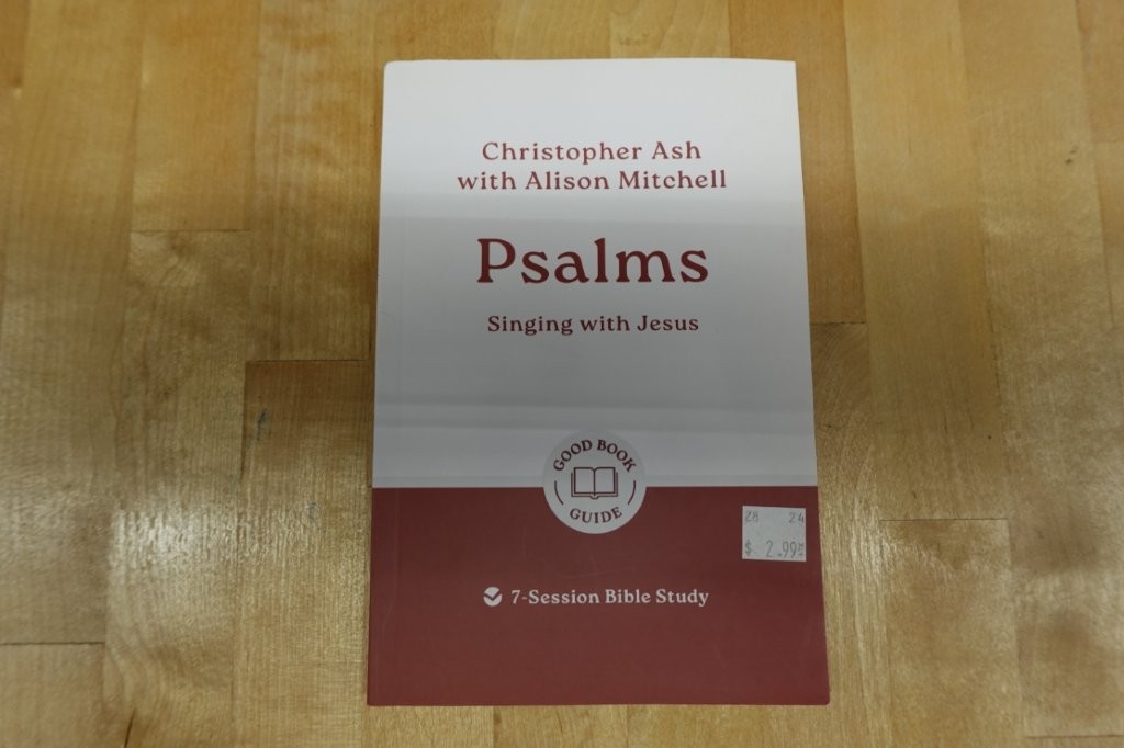 Psalms Singing with Jesus Bible Study Workbook - Image 2