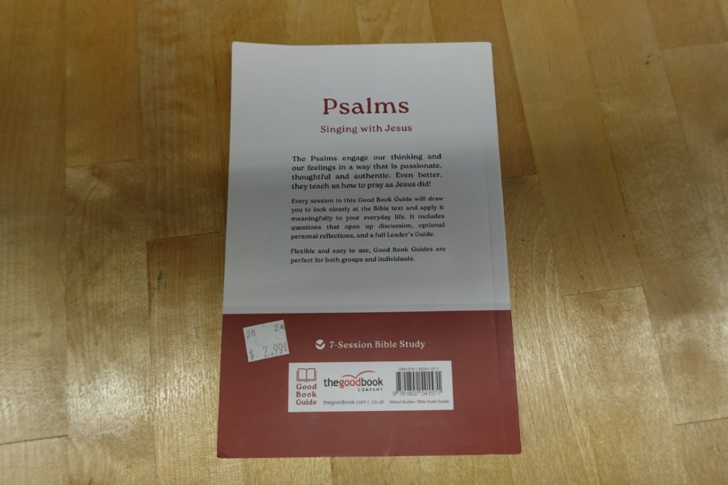 Psalms Singing with Jesus Bible Study Workbook - Image 3
