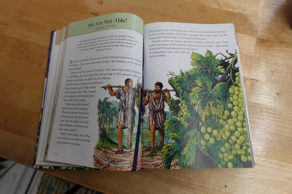 The Classic Children's Bible Storybook - Image 4
