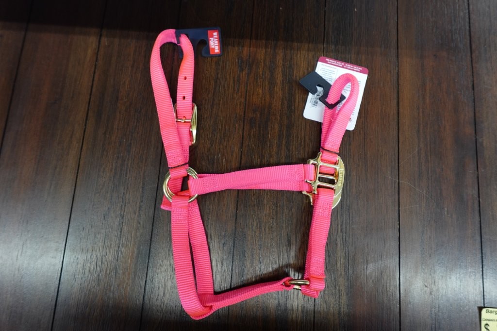 Weaver Leather Original Nylon Horse Halter - Size Pony , Diva Pink - Image 2