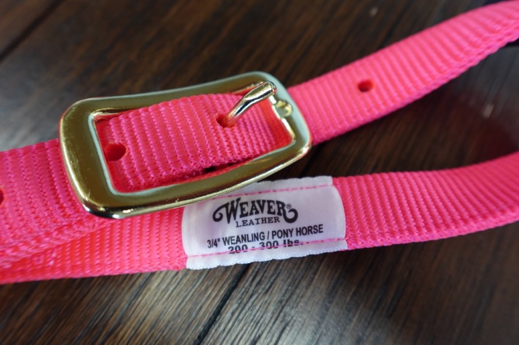 Weaver Leather Original Nylon Horse Halter - Size Pony , Diva Pink - Image 3