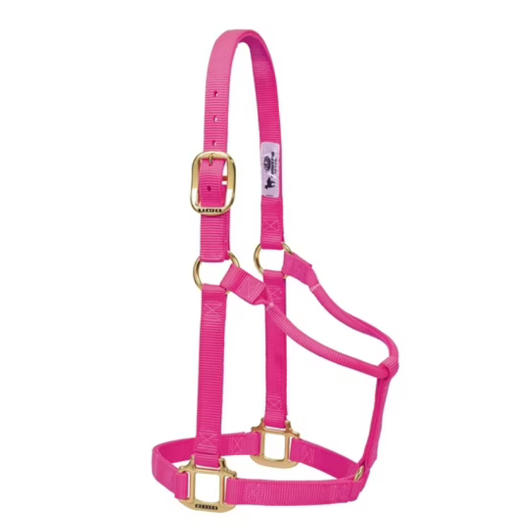 Weaver Leather Original Nylon Horse Halter - Size Pony , Diva Pink