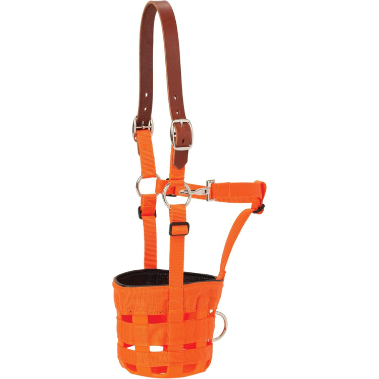Weaver Leather Grazing Muzzle - Average Horse , Blaze Orange