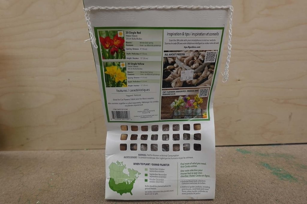 60 Freesia Corms – Red & Yellow Mix - Image 3
